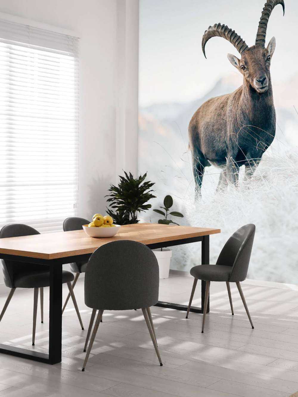 Alpensteinbock