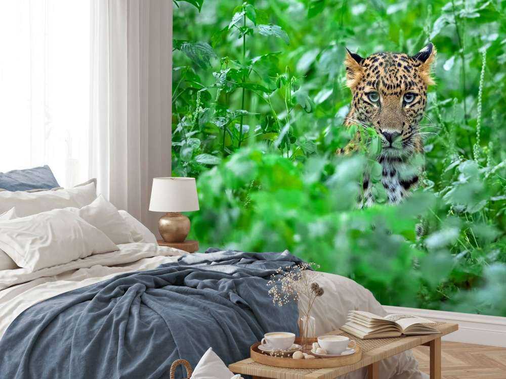 Leopard im Wald