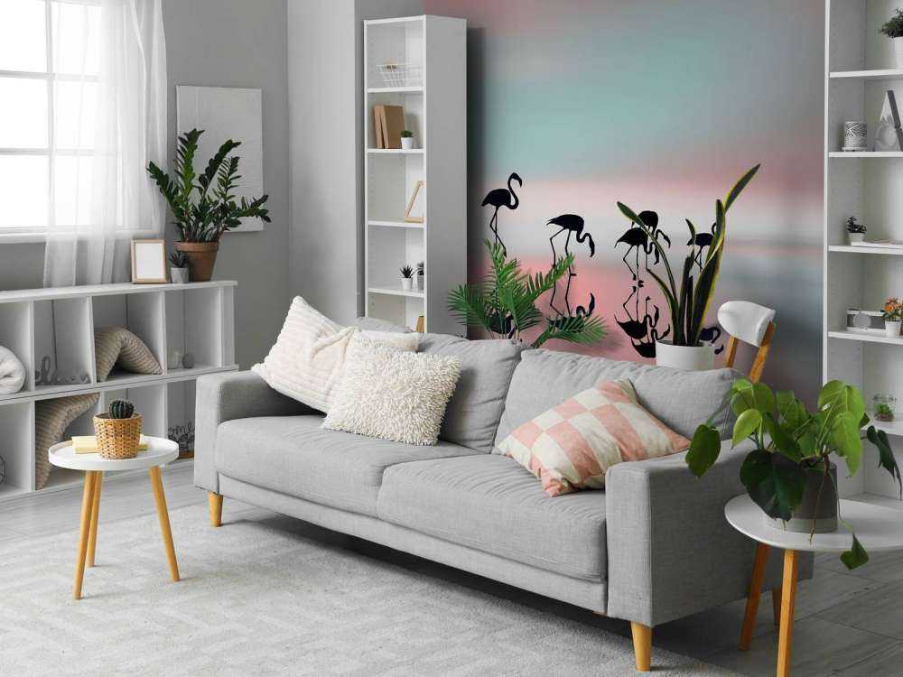 Family flamingos