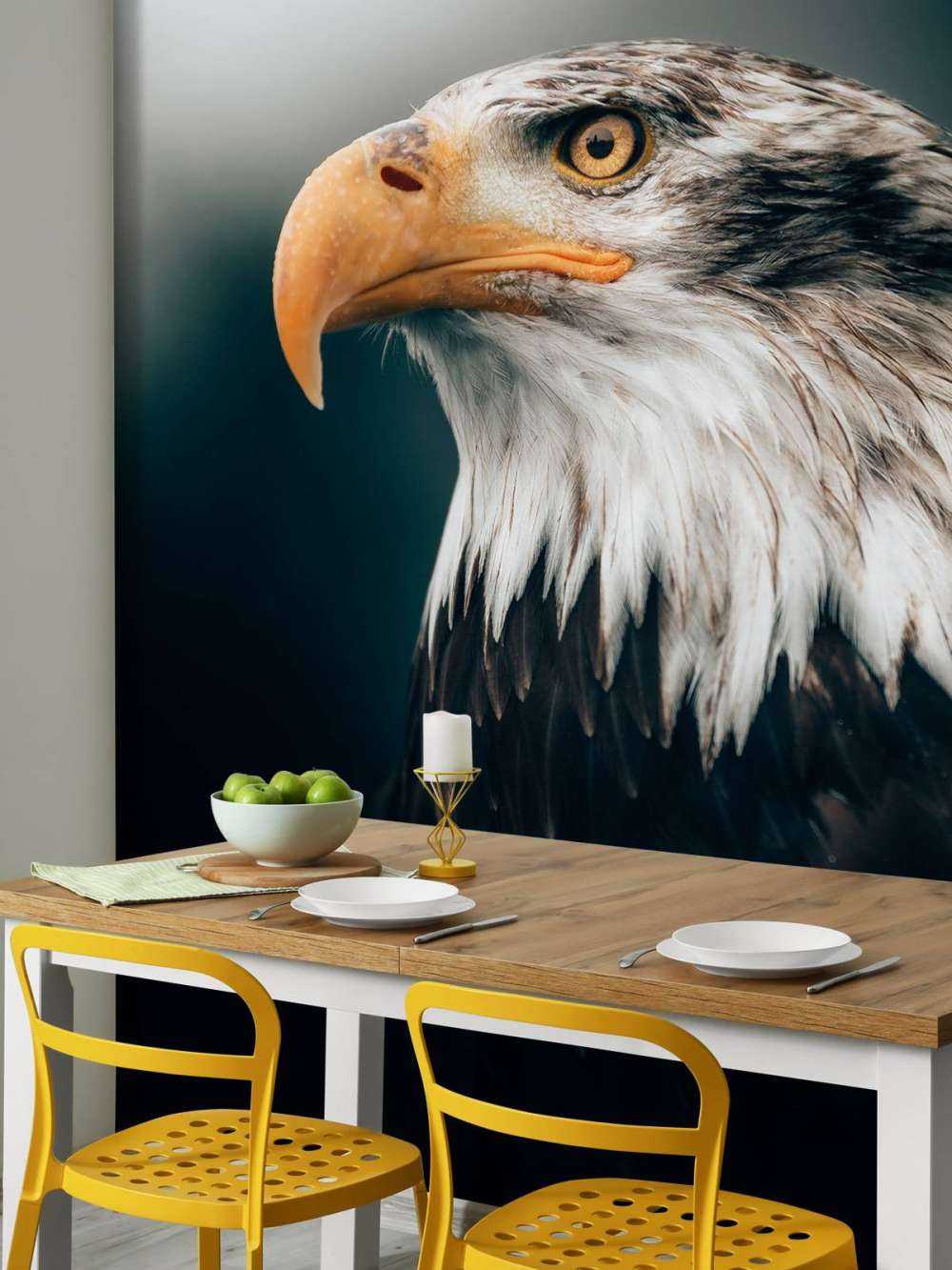 Nahaufnahme Seeadler