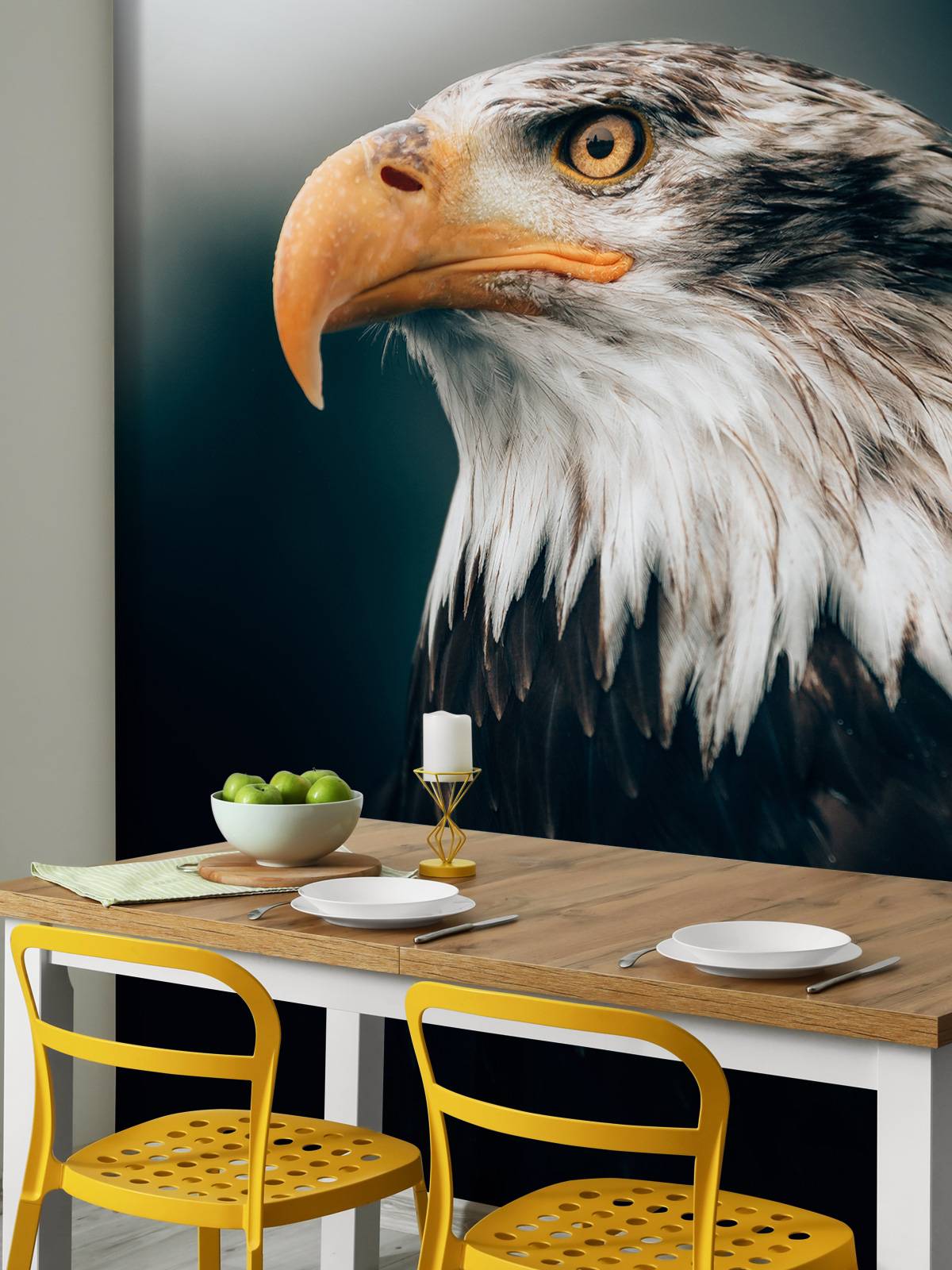 Nahaufnahme Seeadler