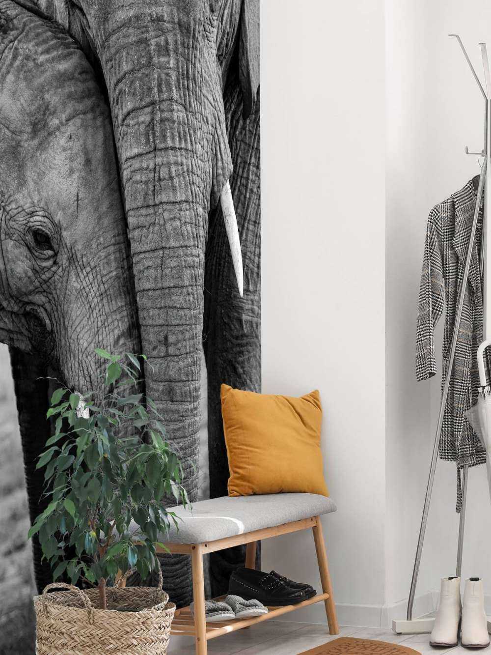 Kuschelnde Elefanten