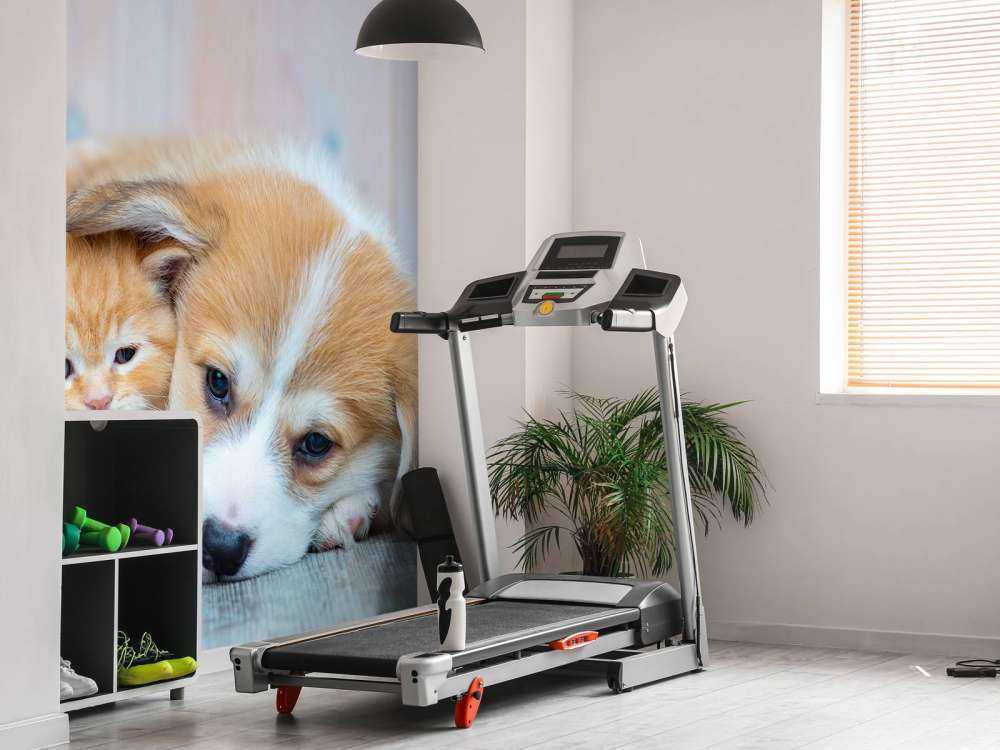 Katzentapete. Bild eines Kätzchens und eines Welpen.