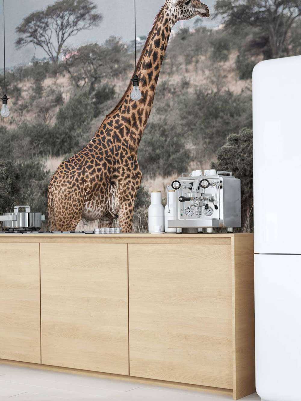Giraffen-Portrait
