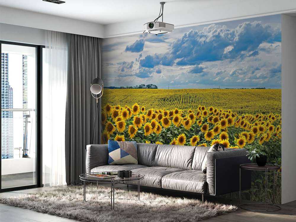 Wiese voller Sonnenblumen