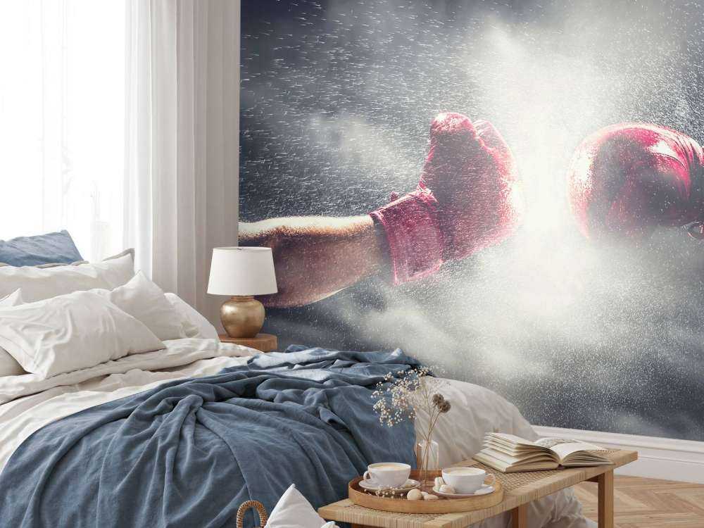 Zwei Boxer