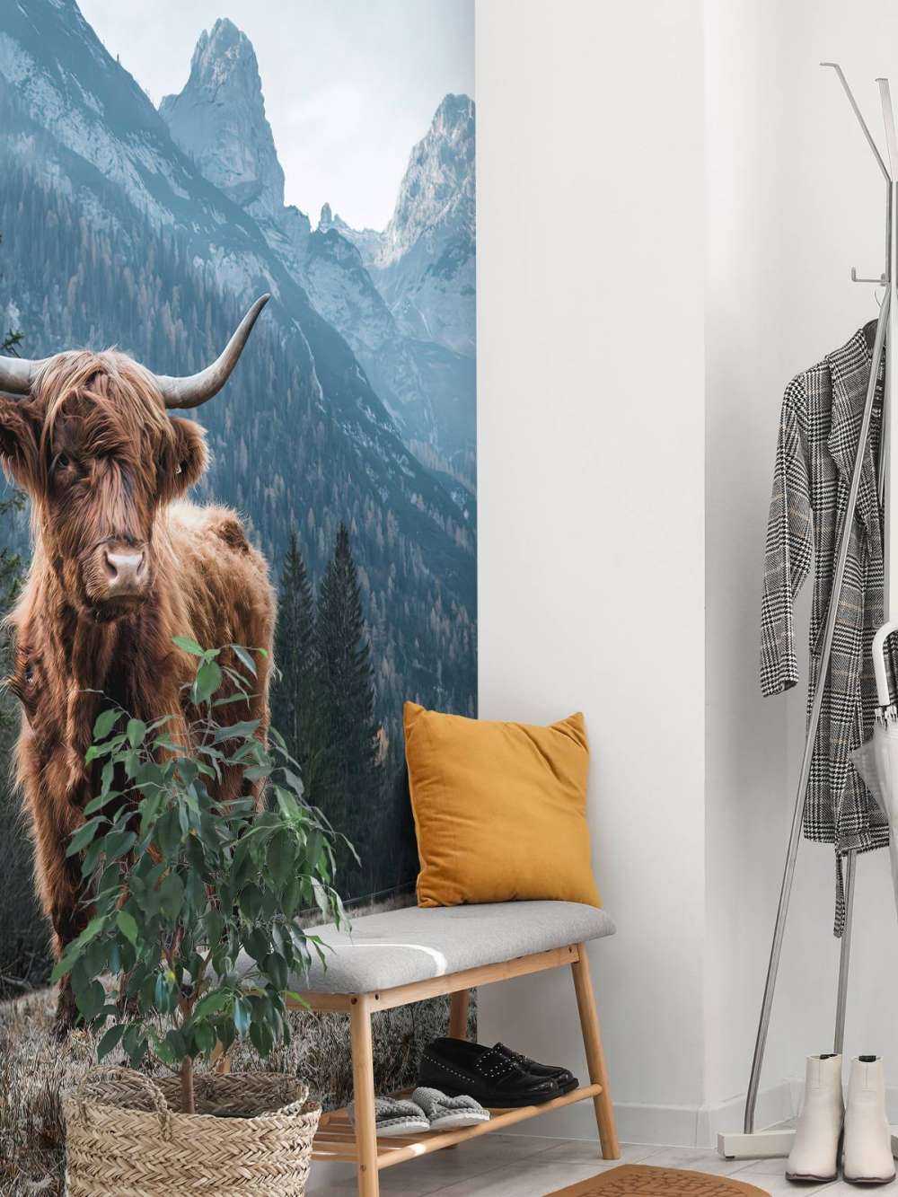 Schottischer Hochländer zwischen den Bäumen