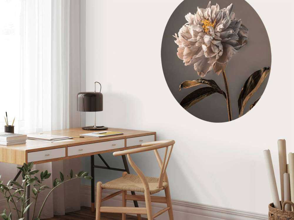 Blume in Nahaufnahme
