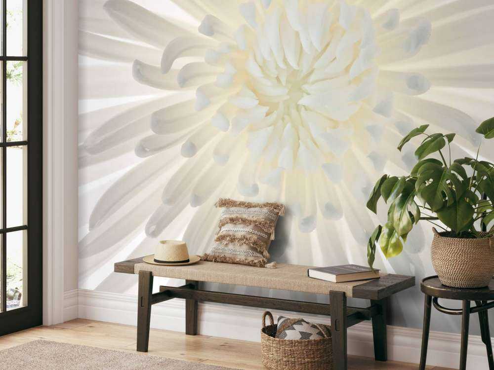 Chrysantheme