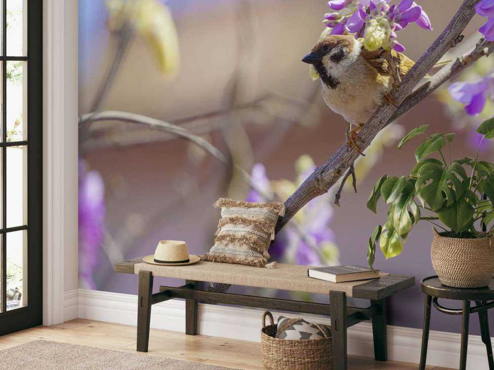 Spatz und lila Blumen