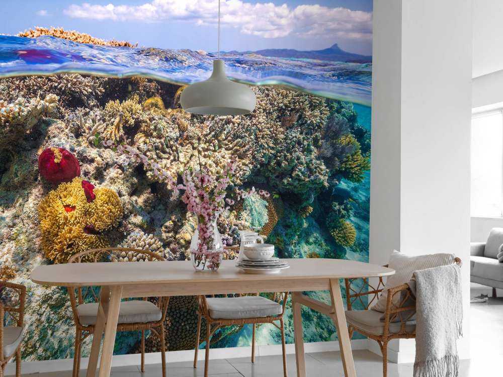 Mayotte : The Reef