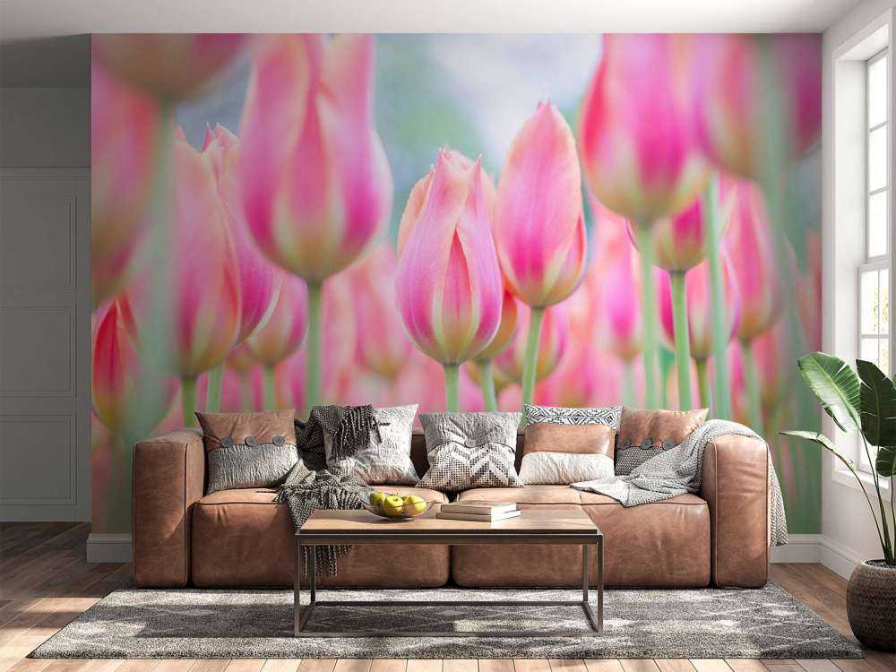 Nahaufnahme rosa Tulpen