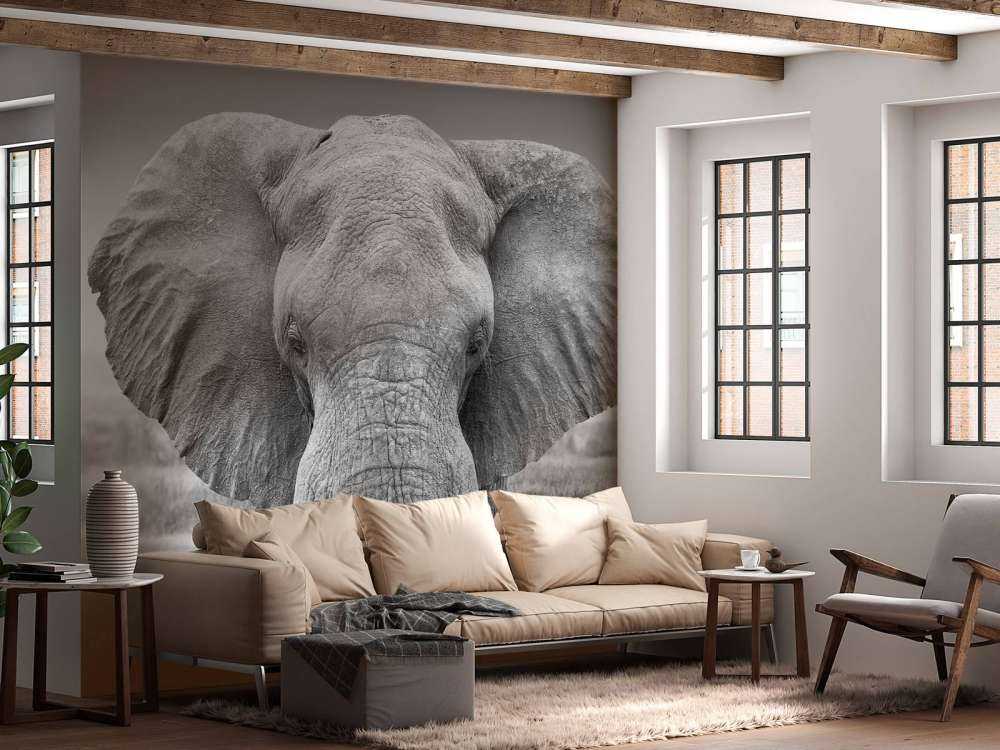Elefant schwarz-weiß