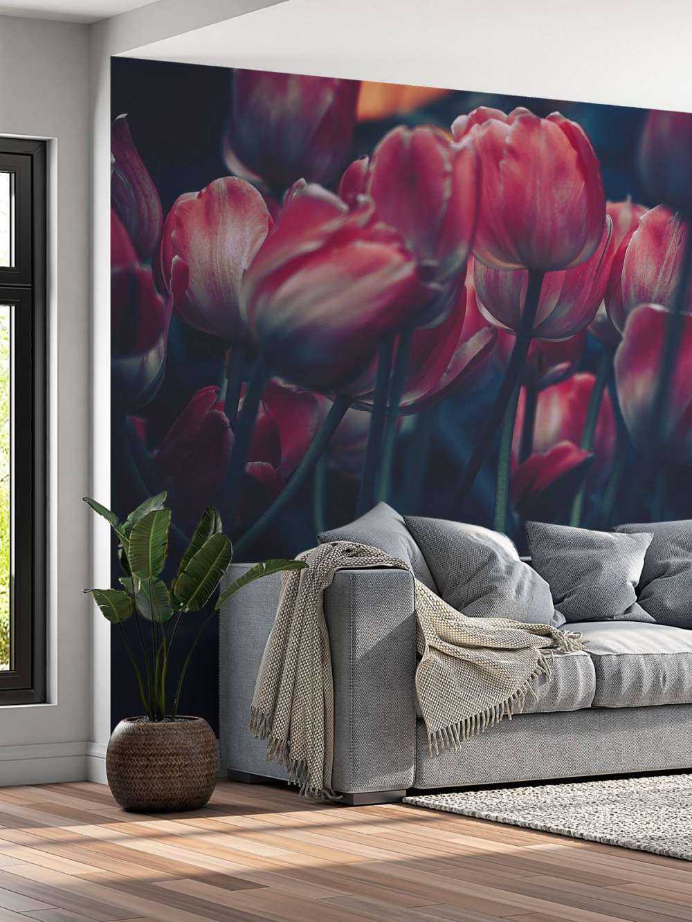 Alte Tulpen