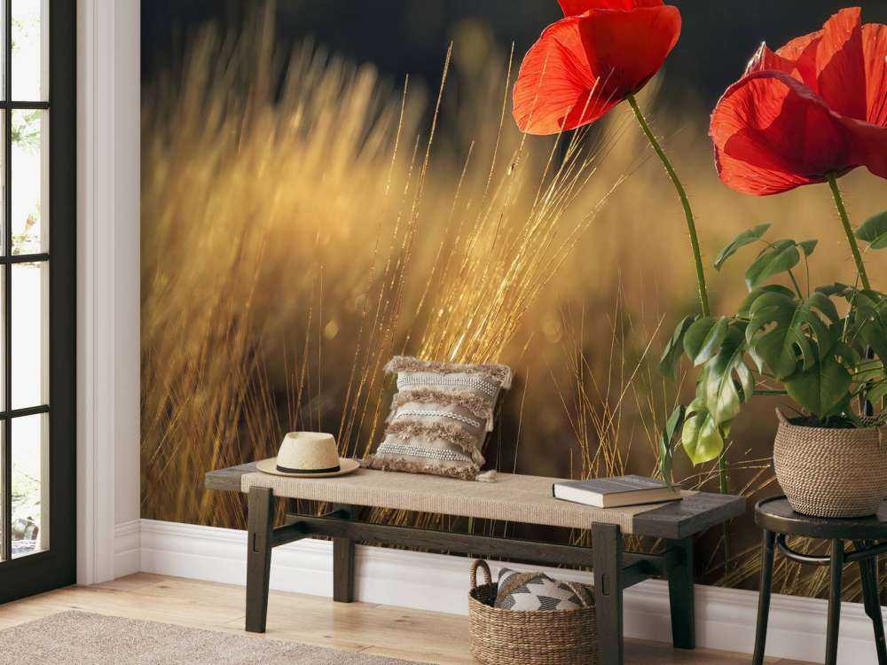 Mohn auf einem Weizenfeld