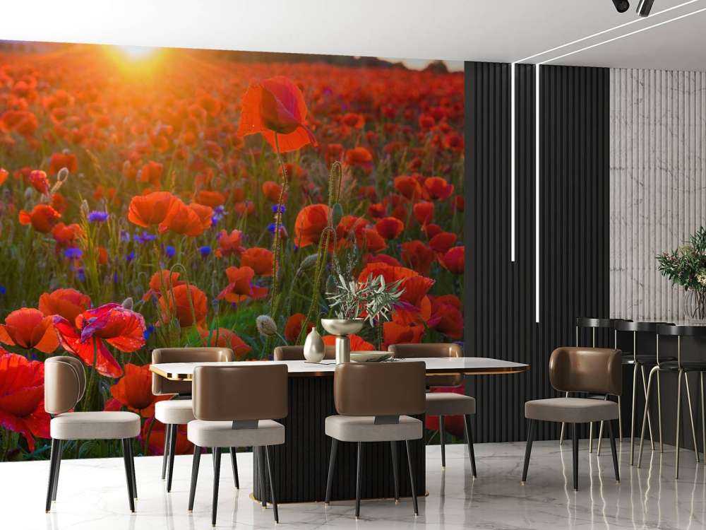 Mohnblumen mit aufgehender Sonne