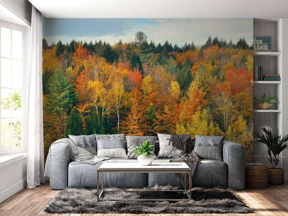 See von Herbstbäumen