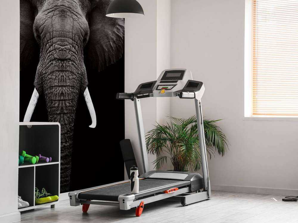Dark Elephant