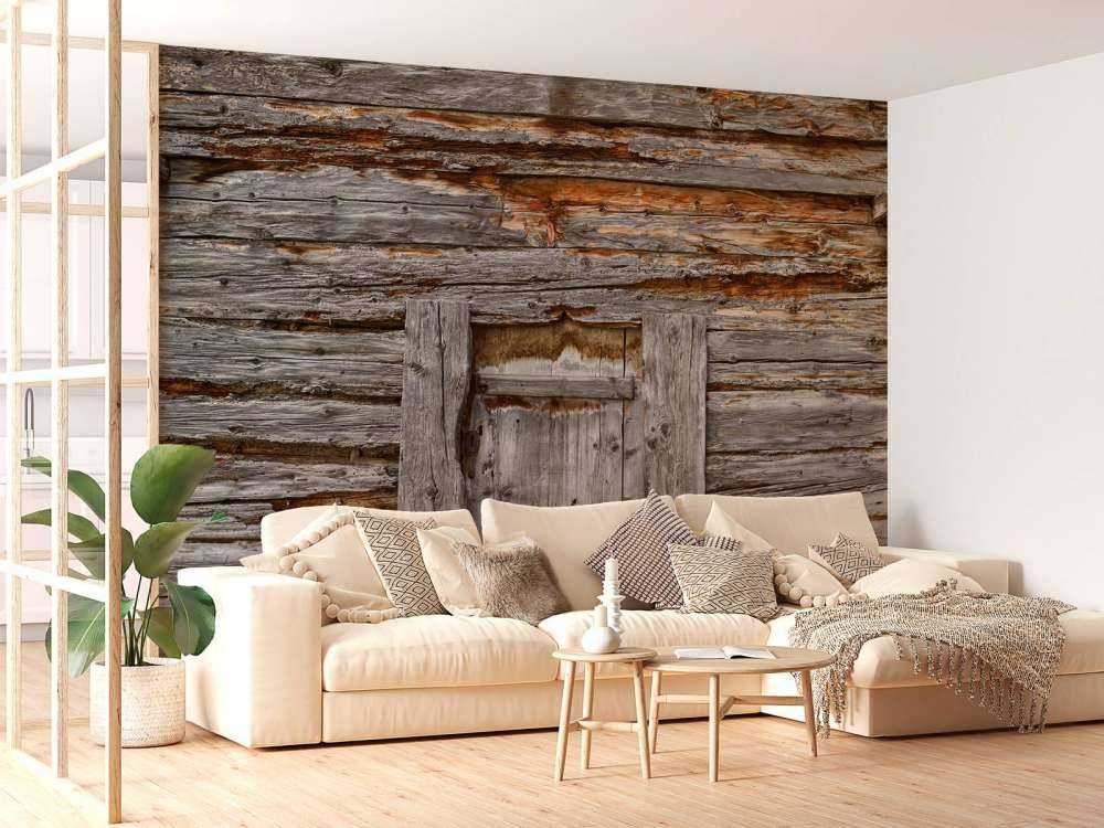 Altes Holz mit Tür