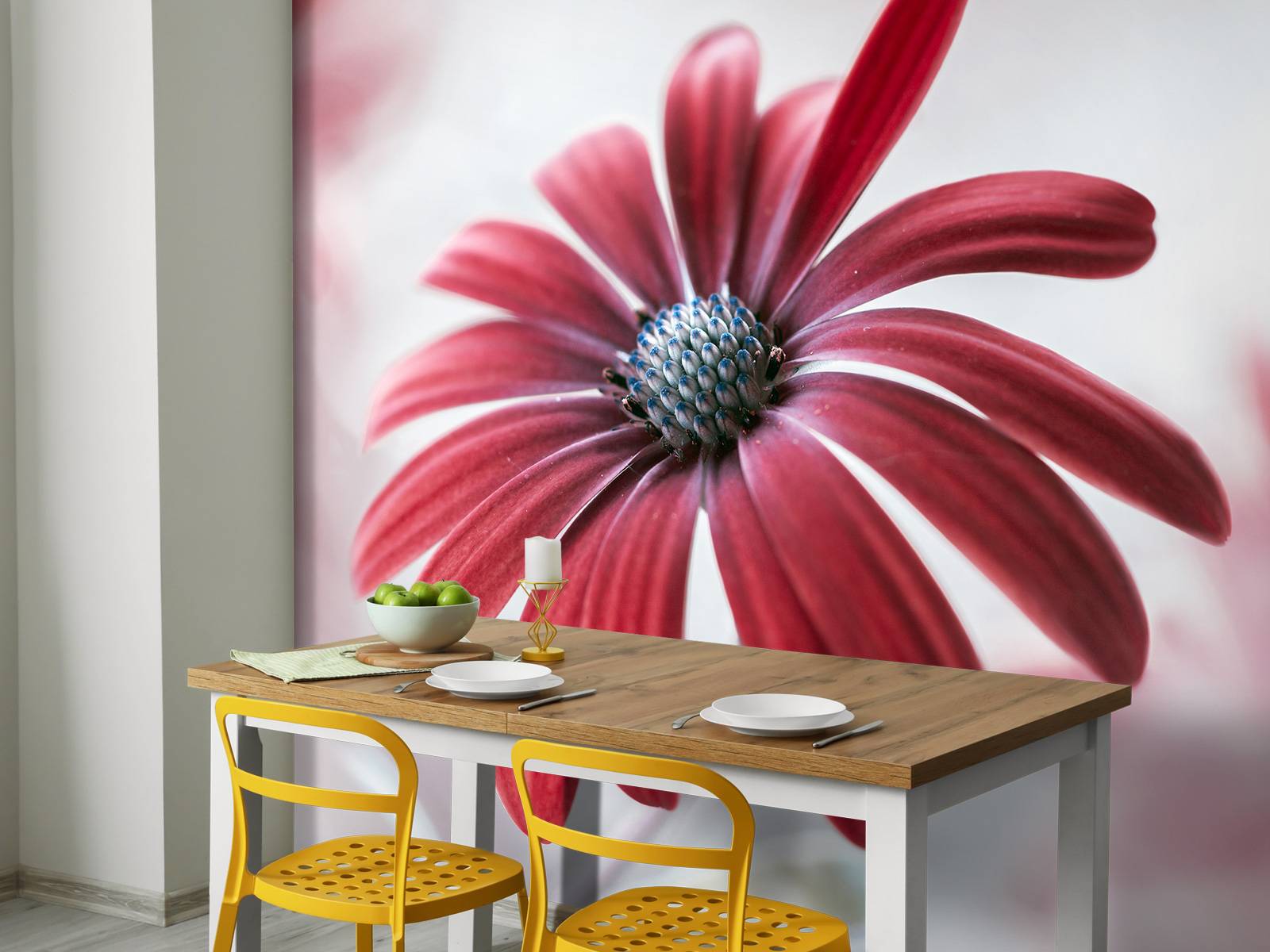 Red Daisy