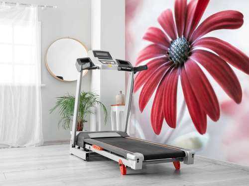 Red Daisy
