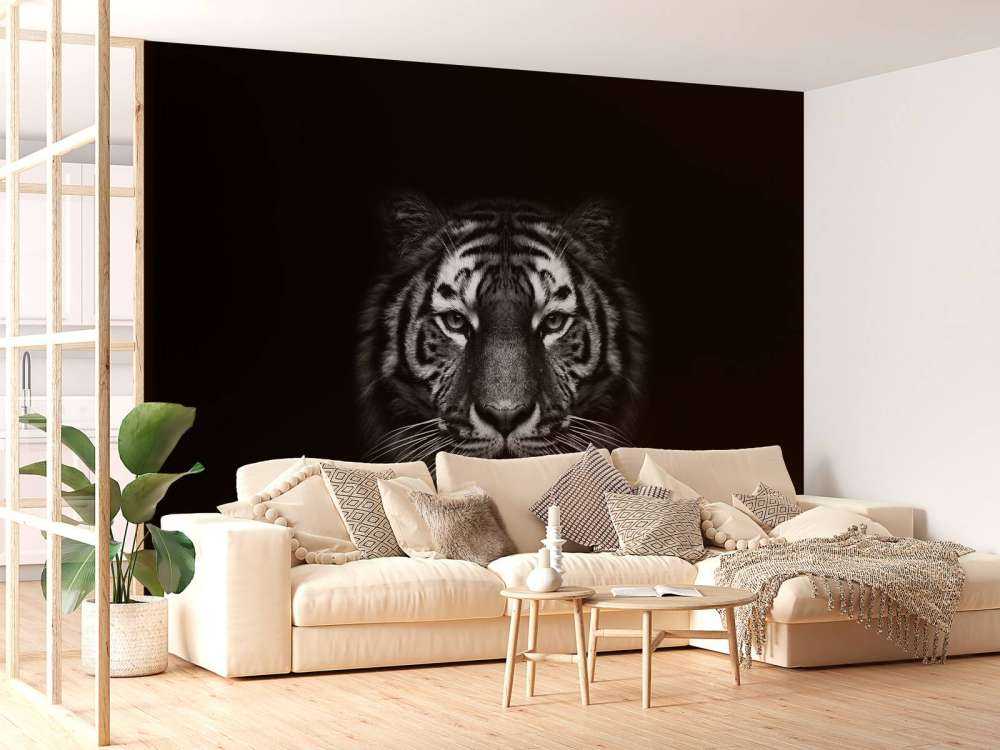 Dark Tiger