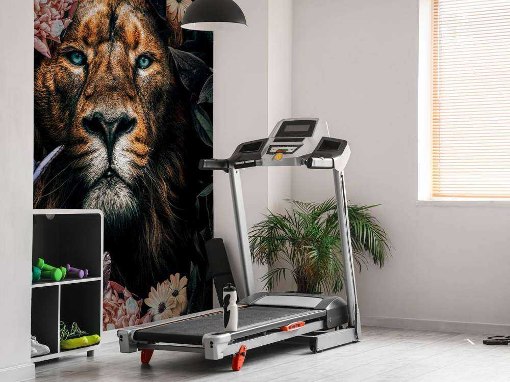 Jungle Lion