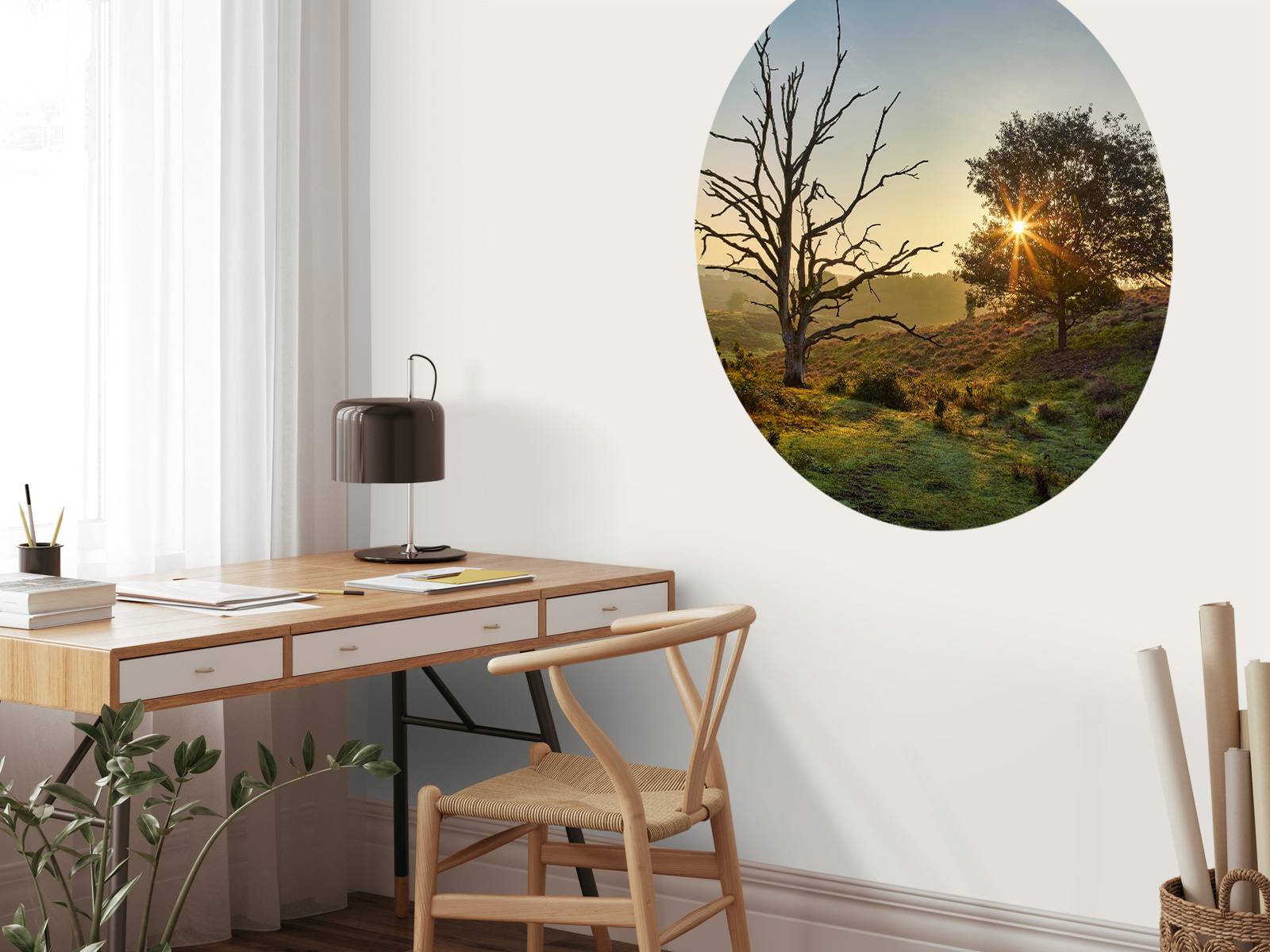 Aufgehende Sonne auf der Heide