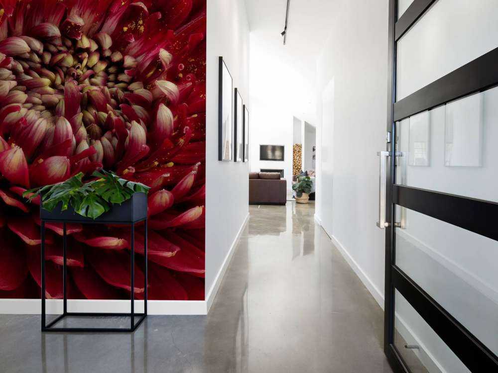 Rote Blume