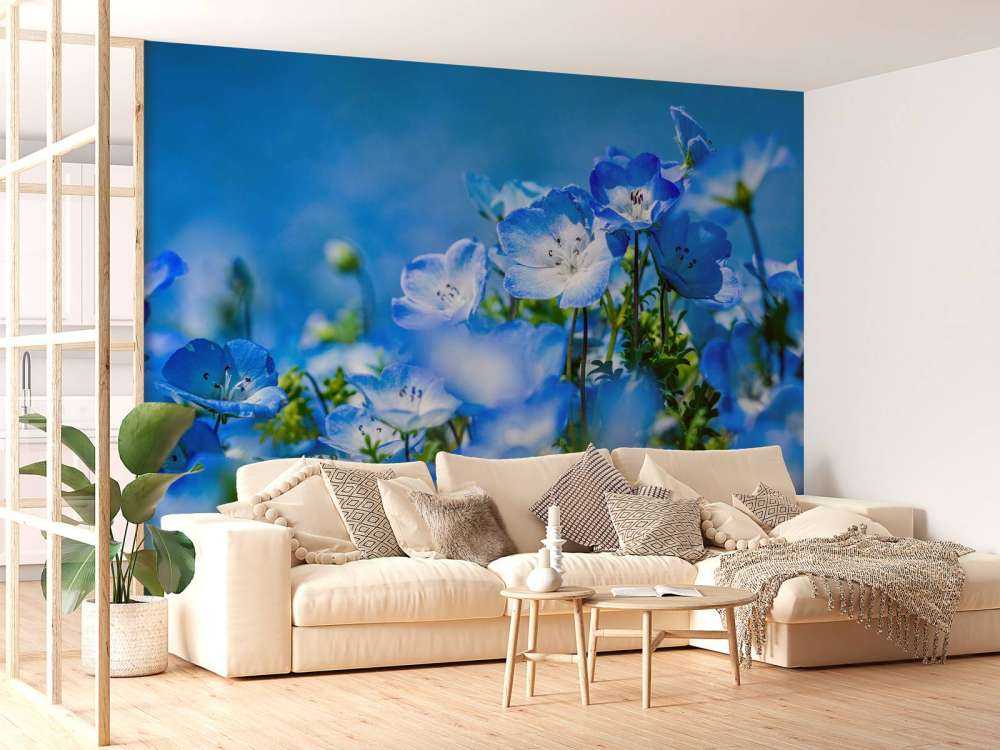 Blau Weiße Narzissen