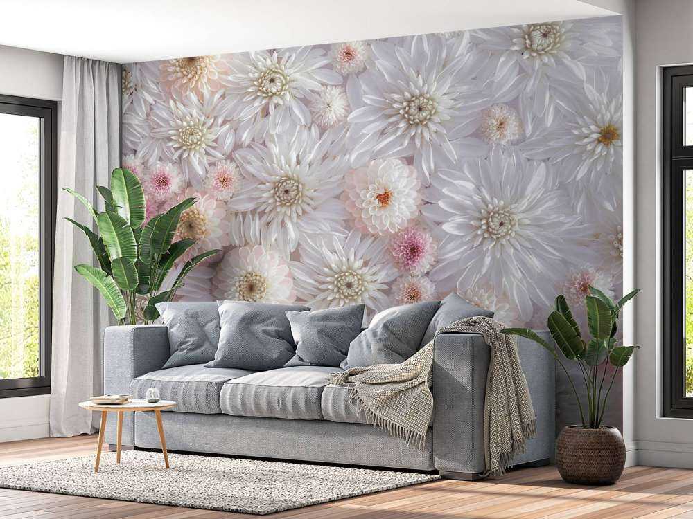 Rosa Dahlien