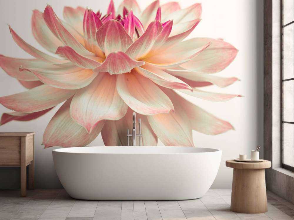 Dahlienblüte