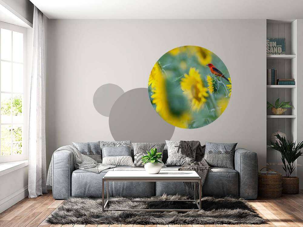 Sonnenblumenfeld mit rotem Vogel
