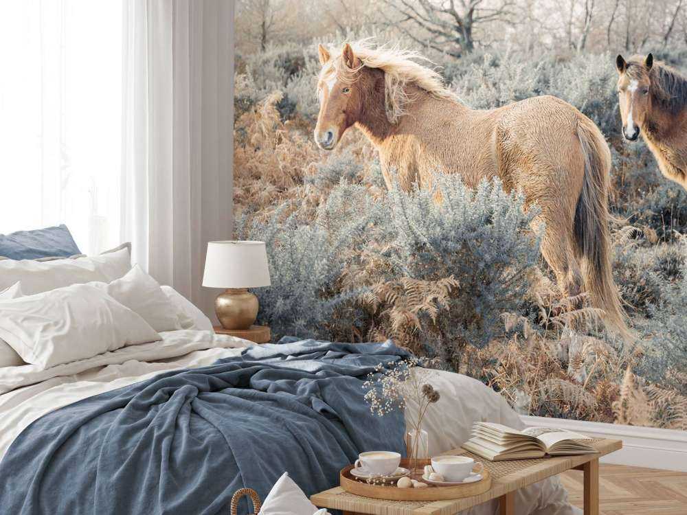 Wildpferde