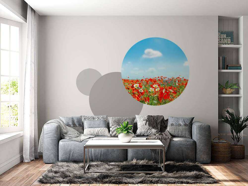 Mohnblumen und Gänseblümchen