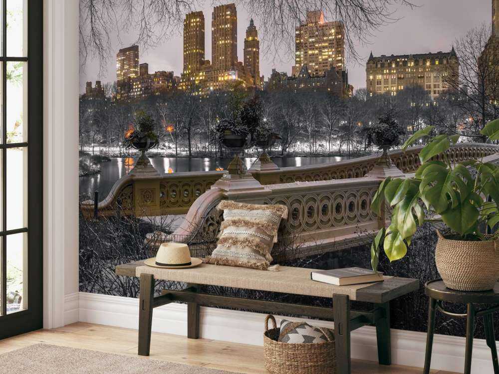 Central Park und Manhattan