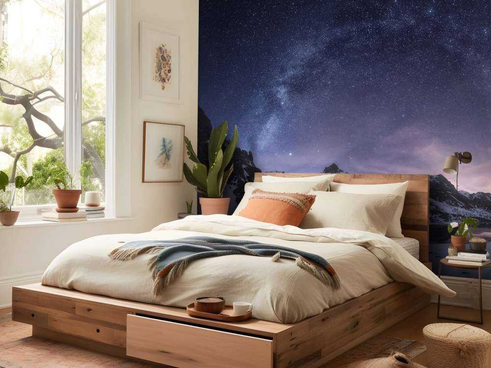Stars in the night