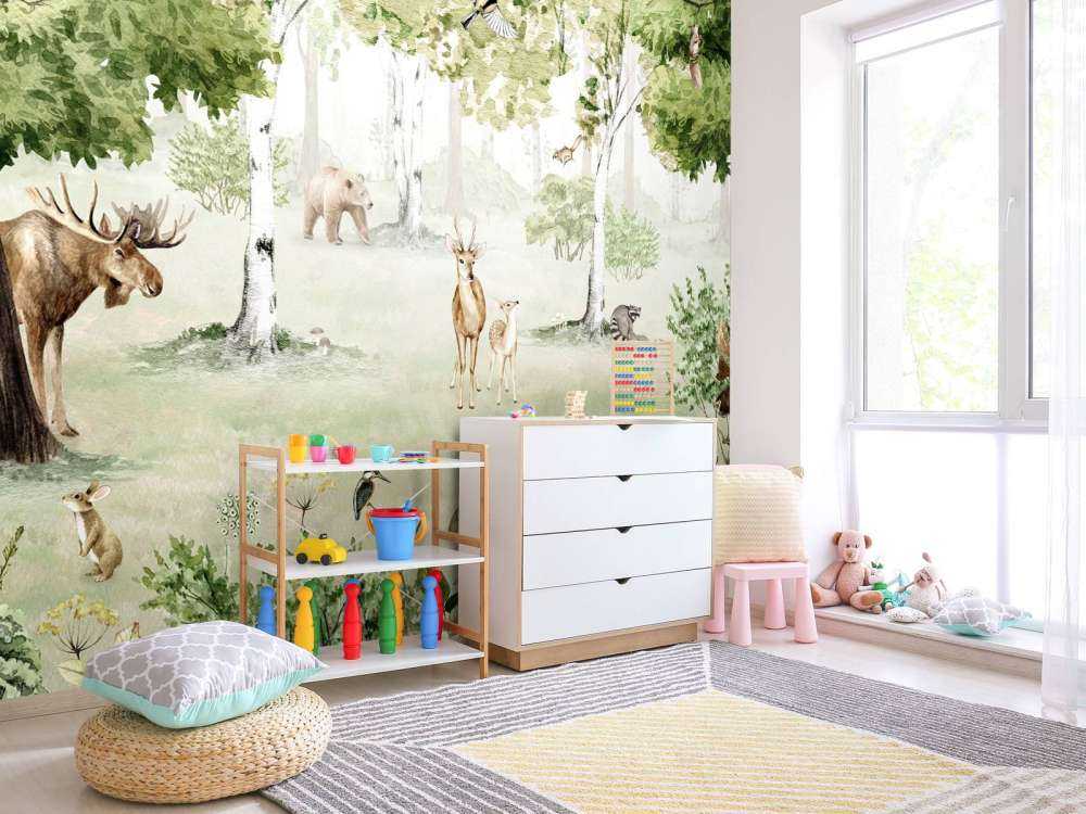 Woodland Wonders