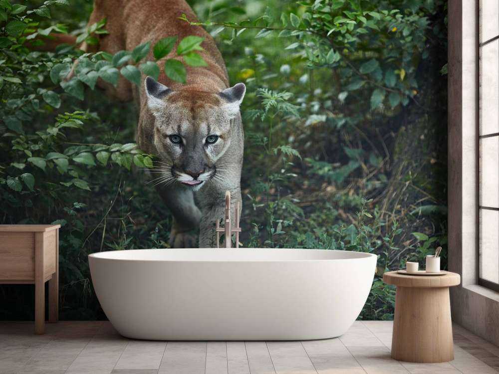 Schleichender Berglöwe