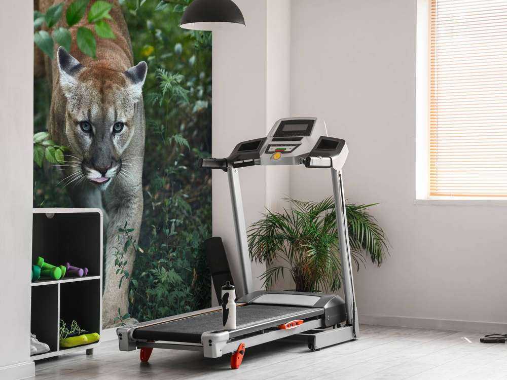 Schleichender Berglöwe