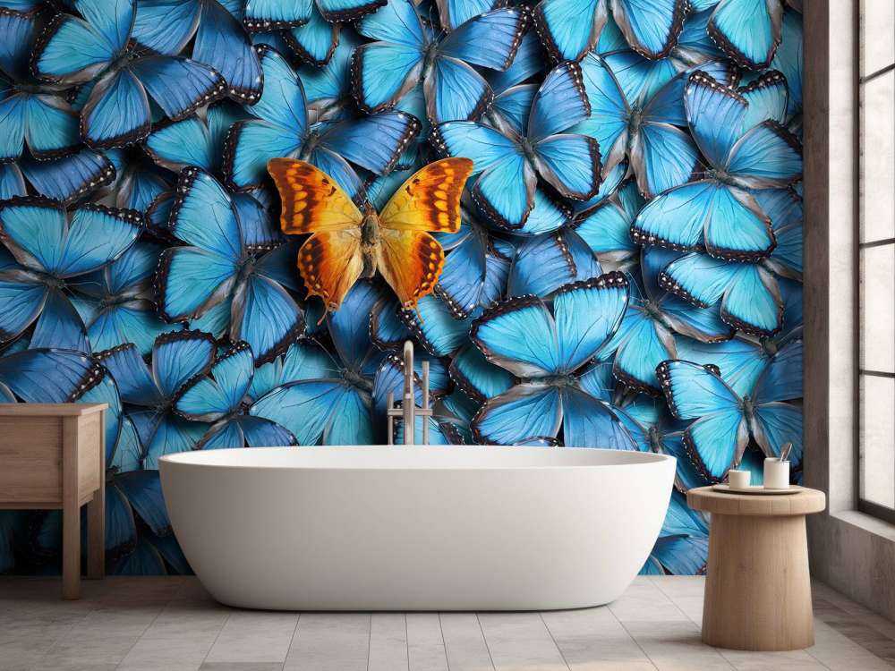 Schmetterling Zusammensetzung