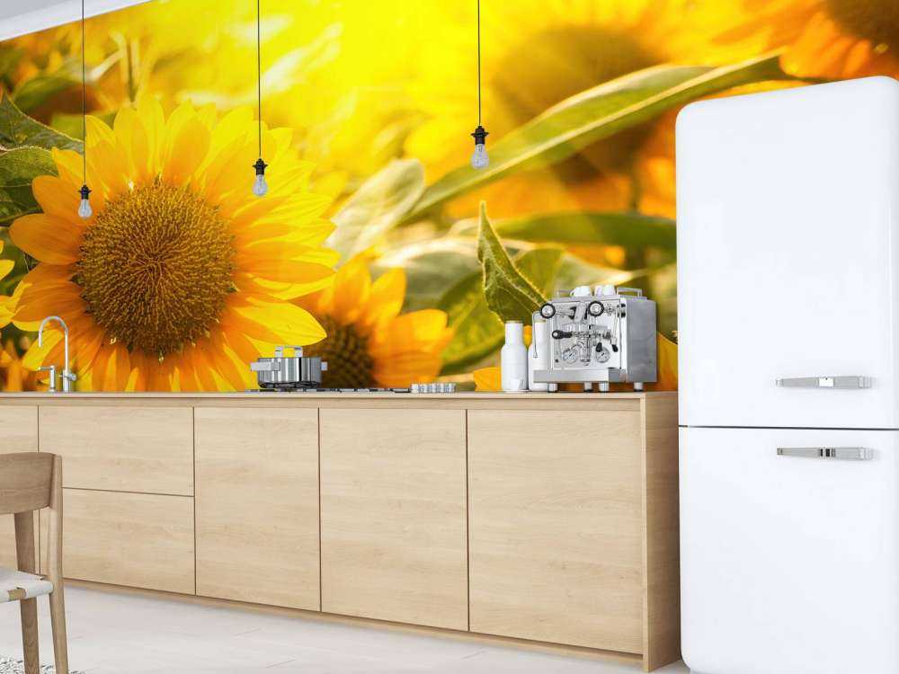 Sonnenblumen und Sonne