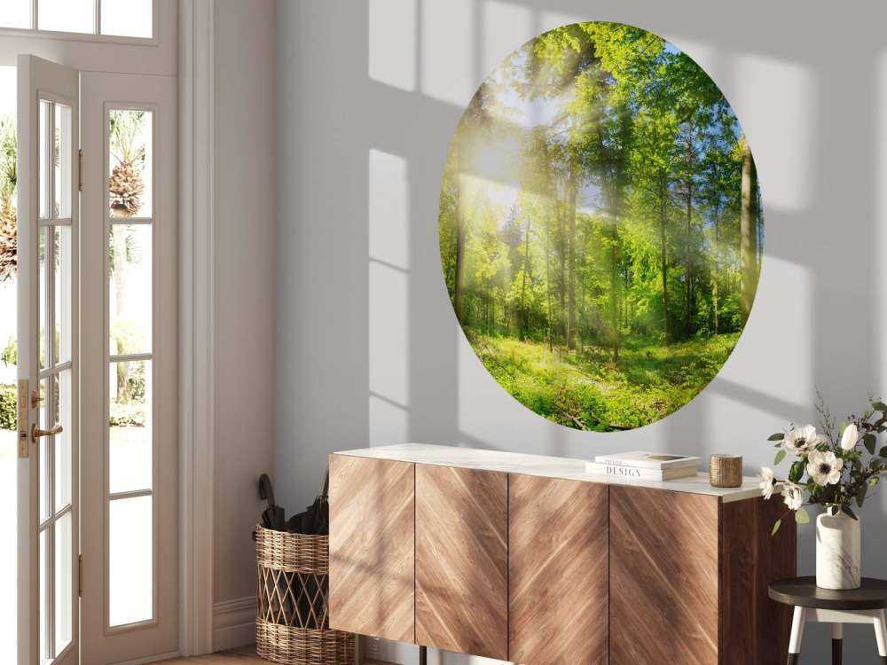 Wald mit Sonnenstrahlen