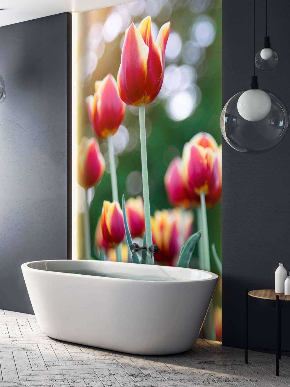 Rot mit gelben Tulpen