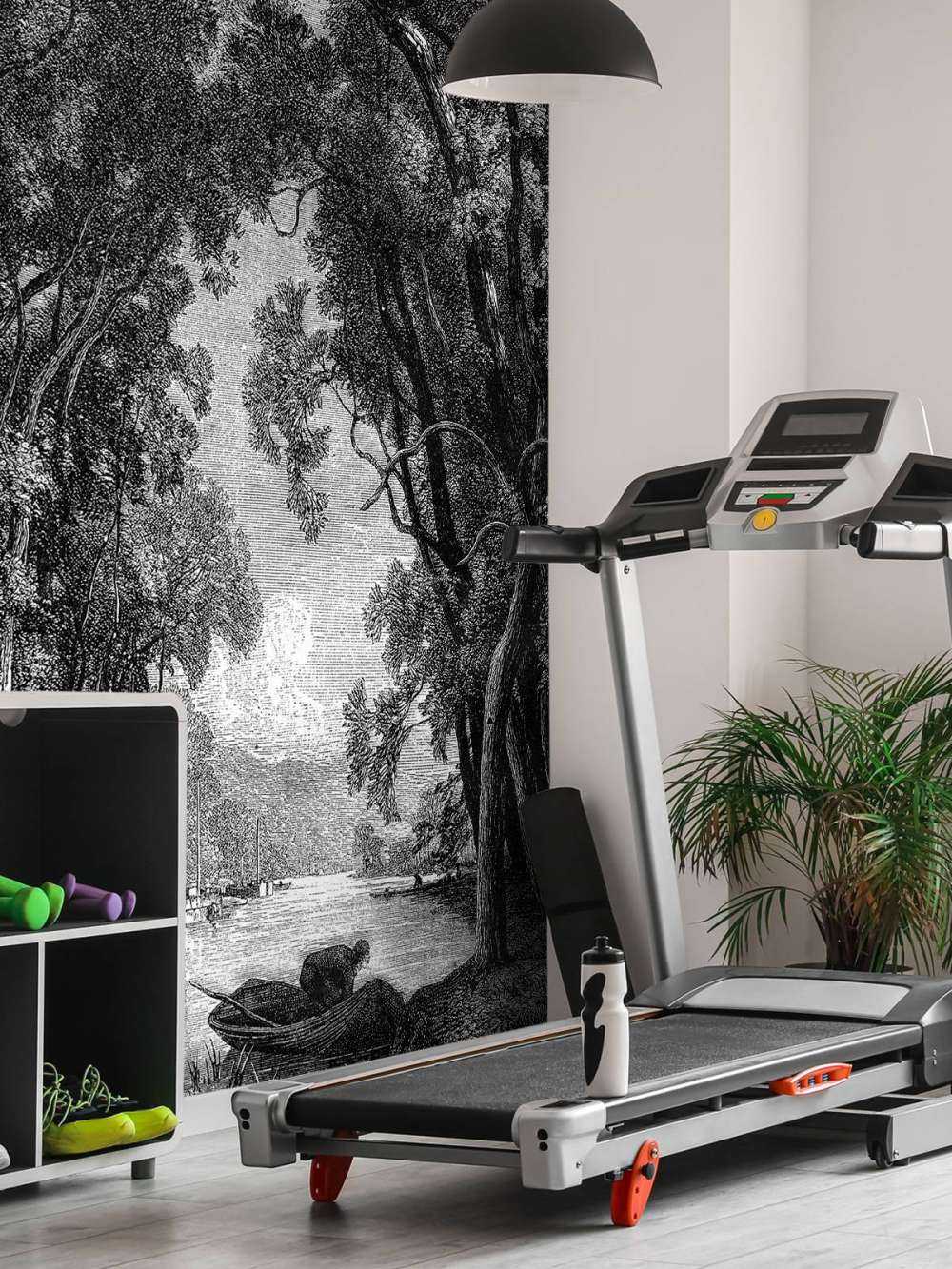 Alter Fluss im Dschungel