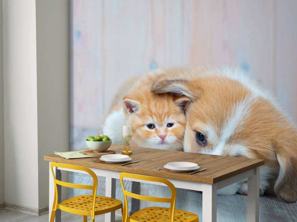 Katzentapete. Bild eines Kätzchens und eines Welpen.