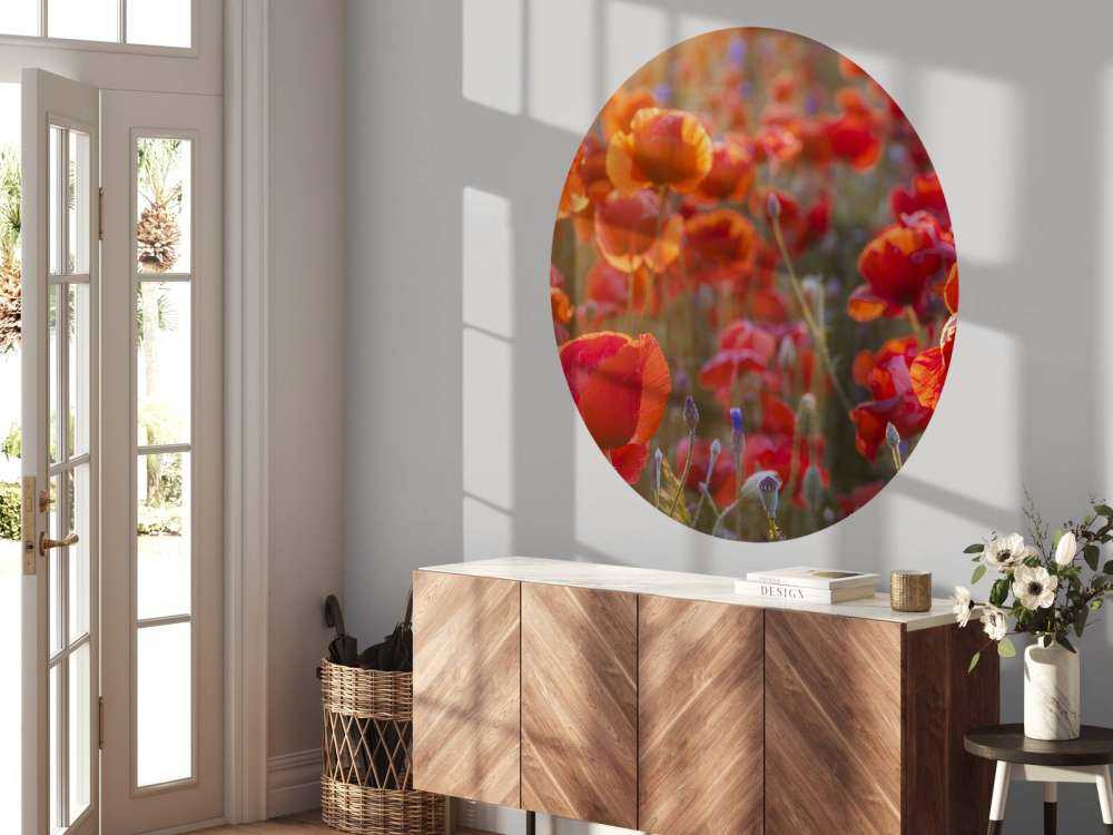 Mohn und Kornblumen