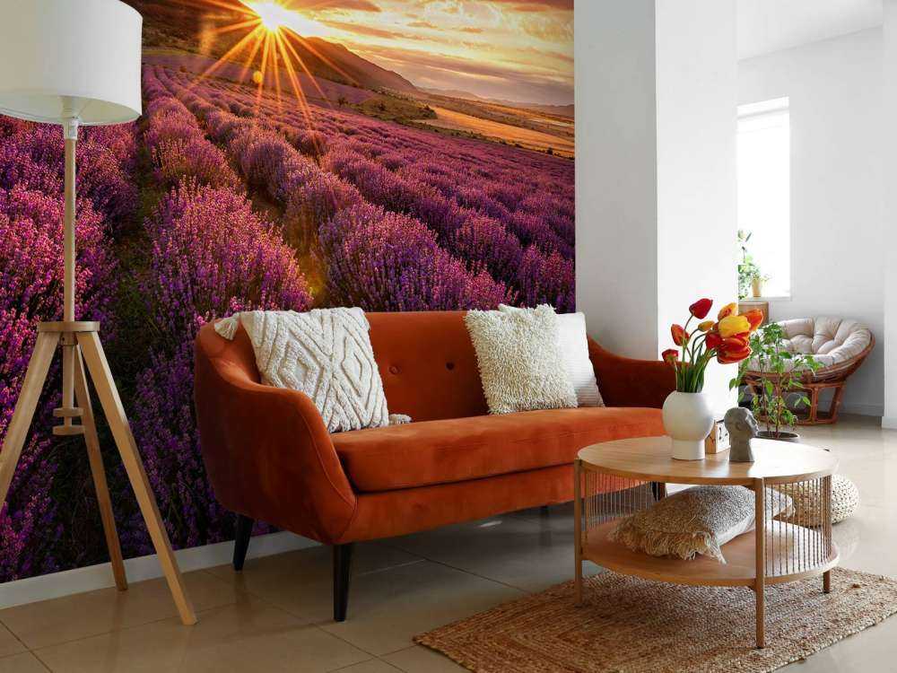 Lavendel unter der Sonne