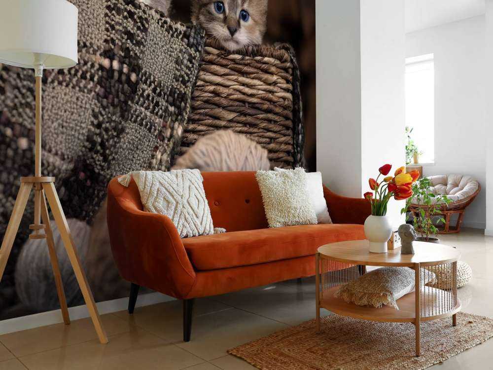 Drei Katzen in einem Korb