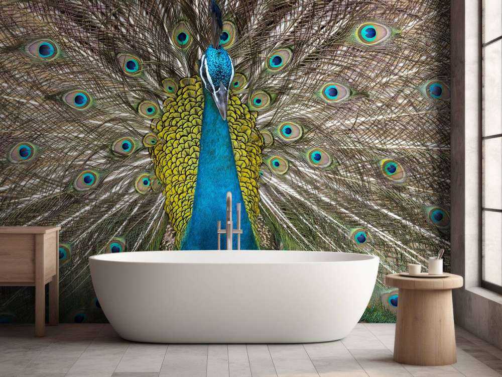 Pfau mit aufgeplusterter Federn